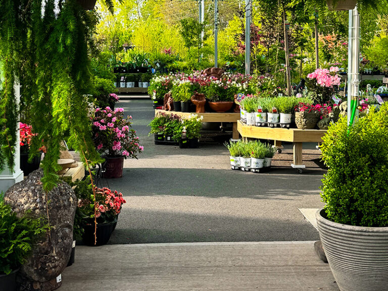 Plant Nursery Near You Perennials, Trees & Expert Advice Adams
