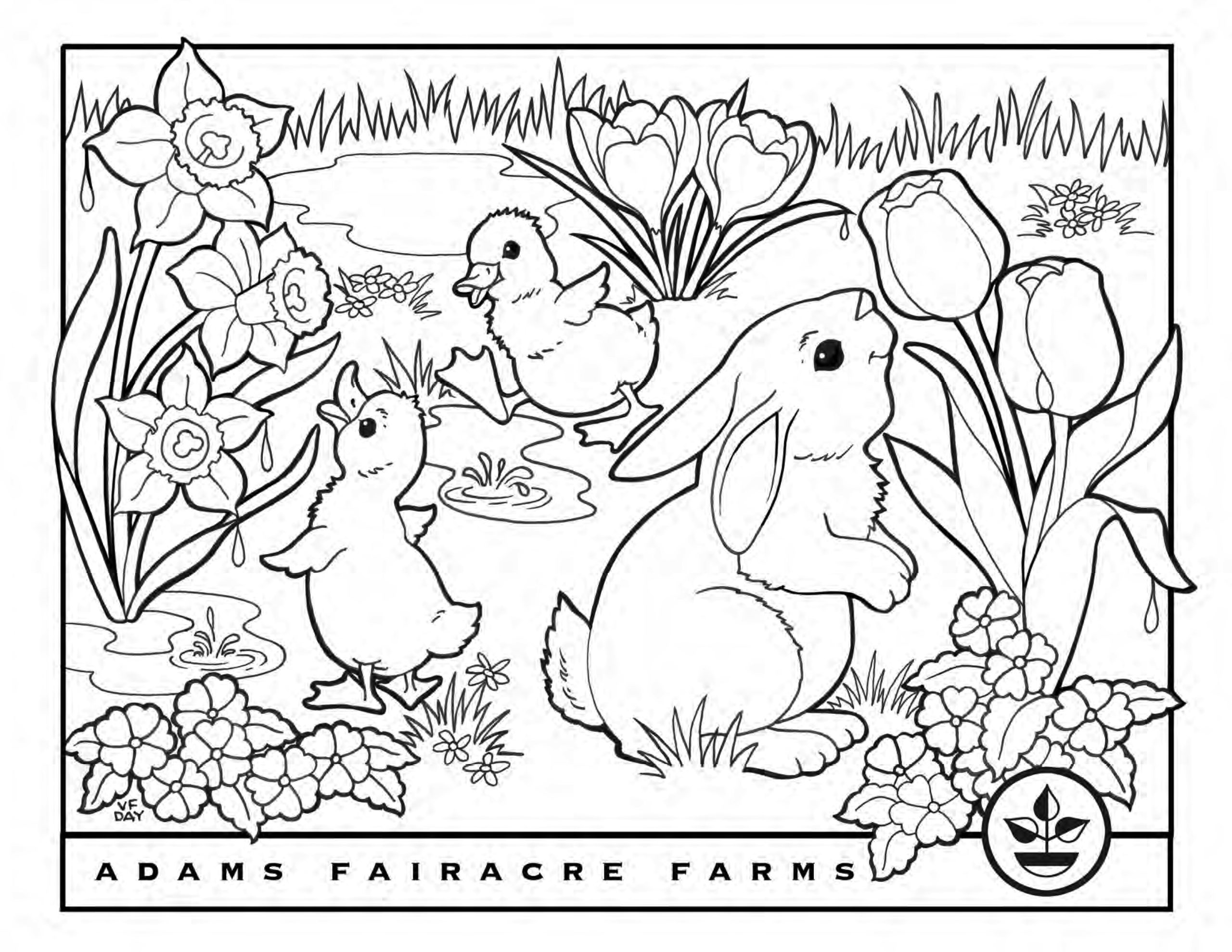 Easter Coloring Pages   Adams Fairacre Farms
