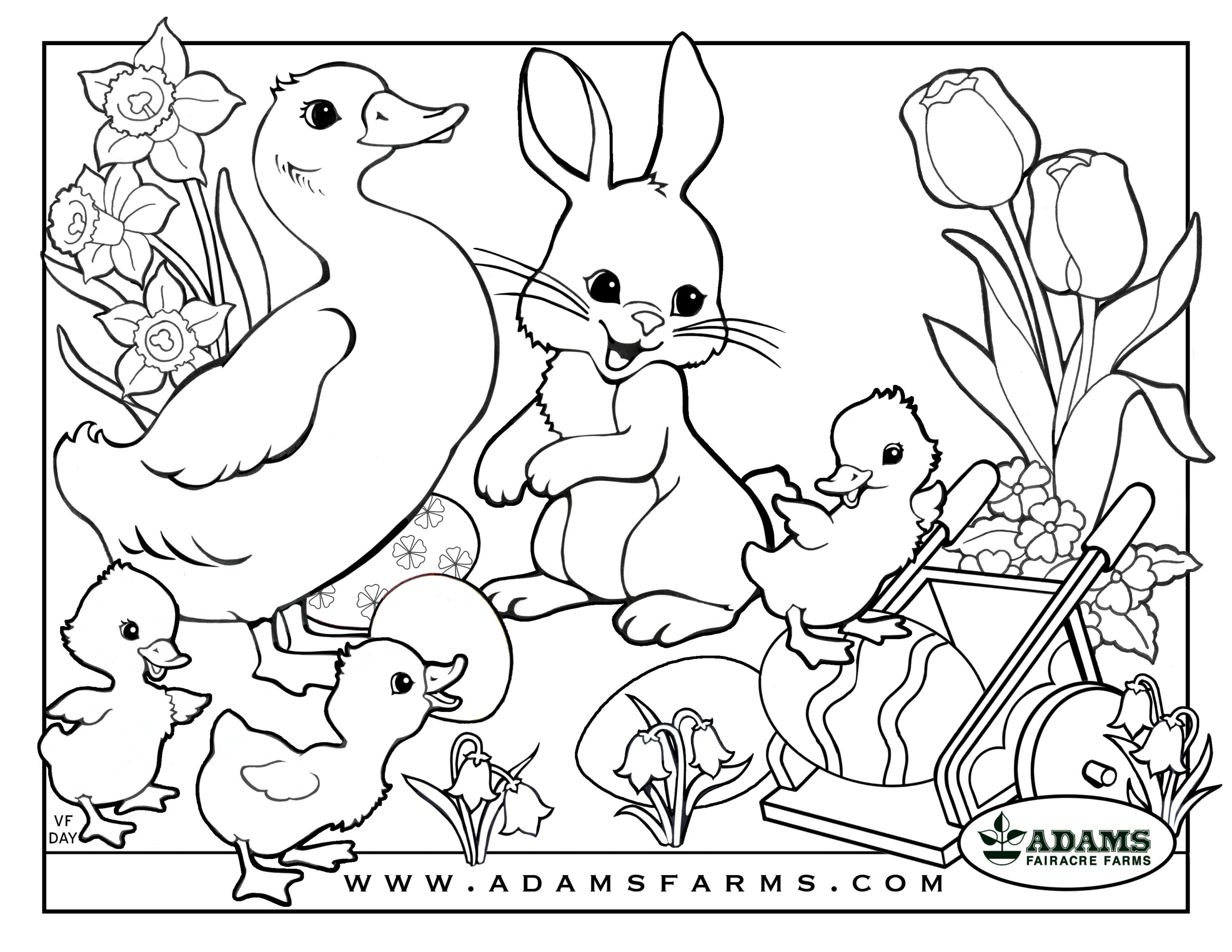 Easter Coloring Contest 20   Adams Fairacre Farms