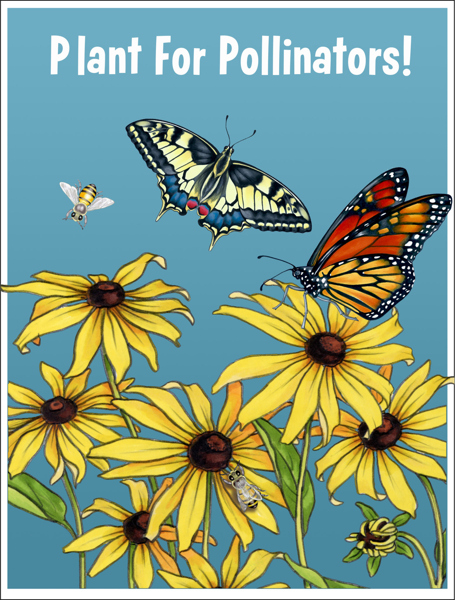 All About Pollinators - Adams Fairacre Farms