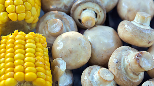 Corn and Mushroom Salad