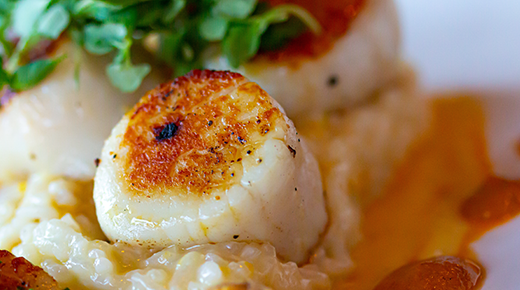 Scallops with Butternut and Basil Sauce