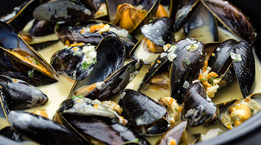 Mussels in Cream Sauce