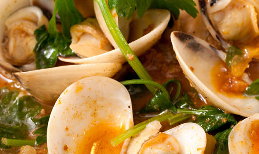 Summer Stew with Maine Mahogany Clams-b