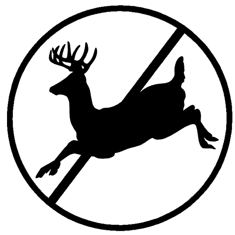 Deer icon