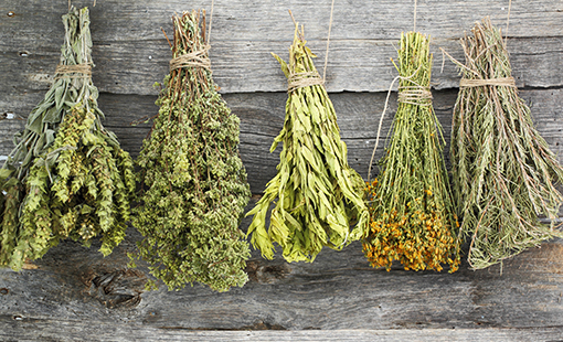 Dried Herbs