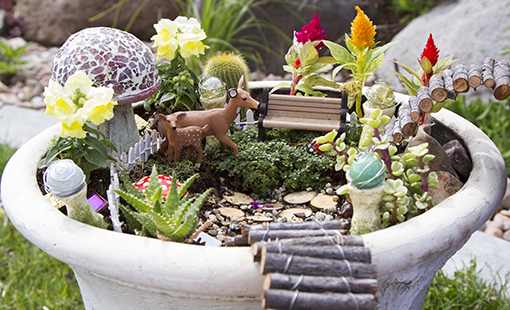 Fairy garden in a flower pot