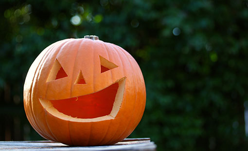 Cute Pumpkin Jack O' Lantern