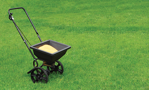 Grass Seed Spreader on lawn