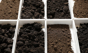 Testing Soil
