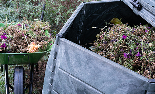 Fall Composting