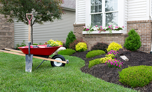 Gardening