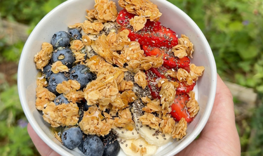 Blueberry Yogurt Bowl