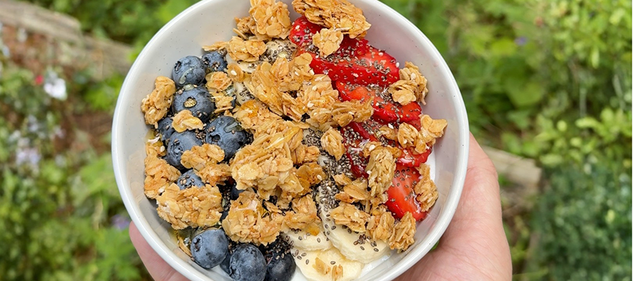Blueberry Yogurt Bowl